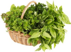 fresh-herb-basket