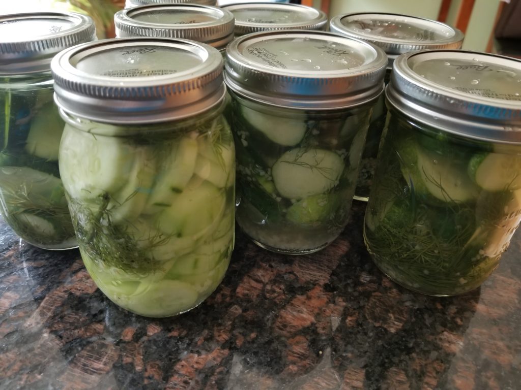 Refrigerator Pickles